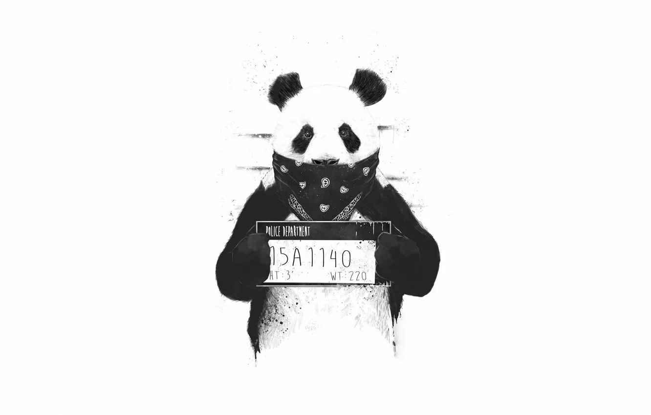 Photo wallpaper style, background, animal, minimalism, art, Panda, bandana, style