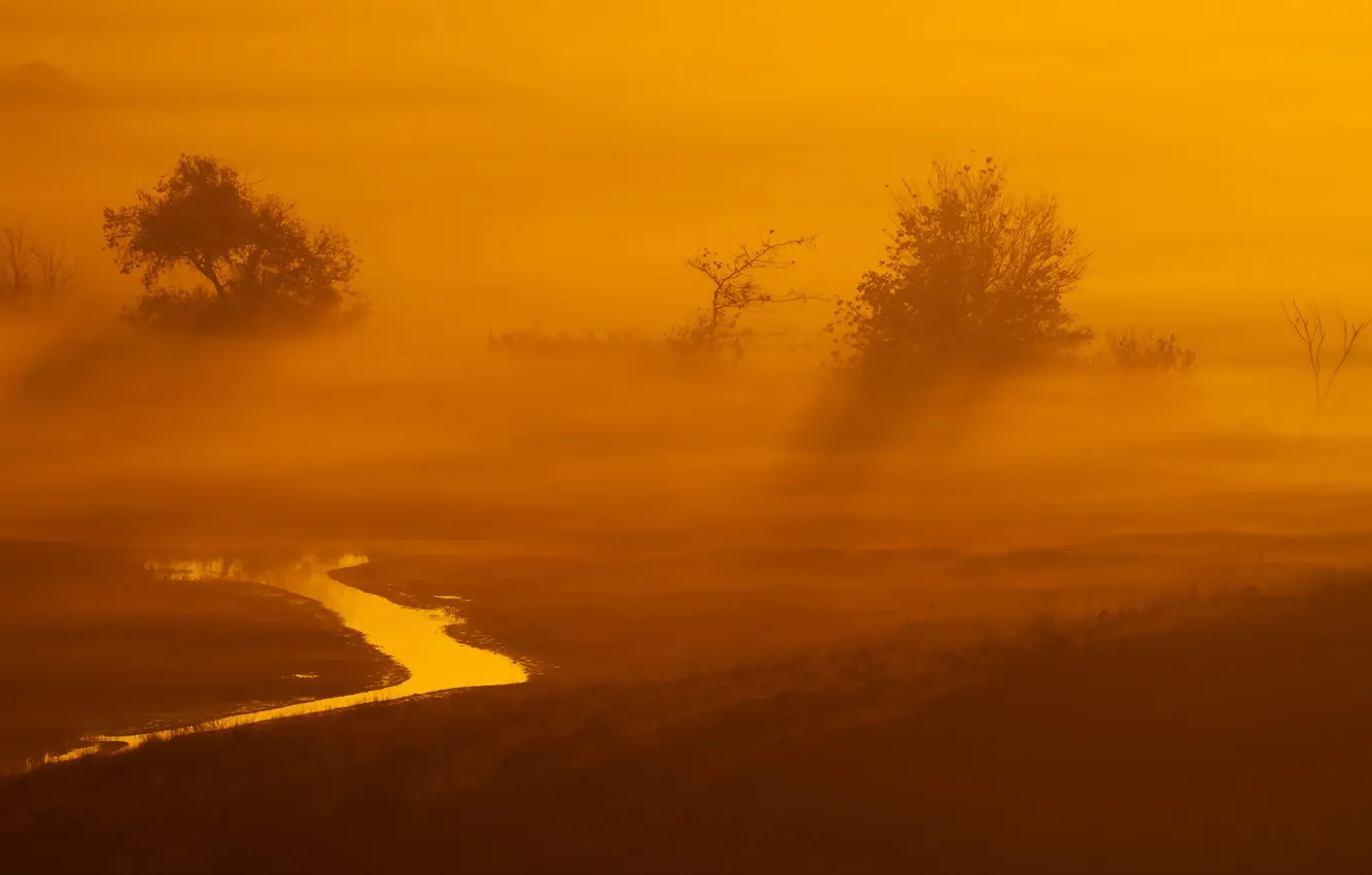 Photo wallpaper nature, fog, morning