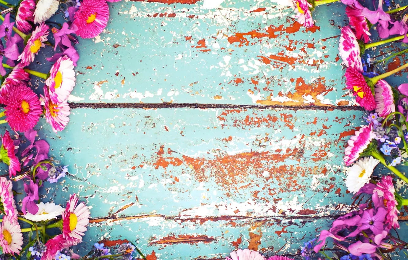 Photo wallpaper flowers, Board, paint, frame, Daisy