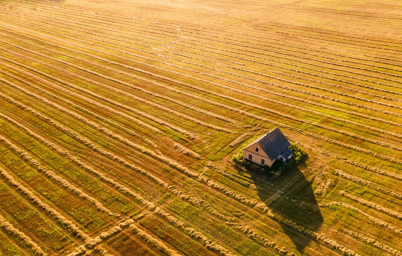 Photo wallpaper house, sunset, harvest, Crop