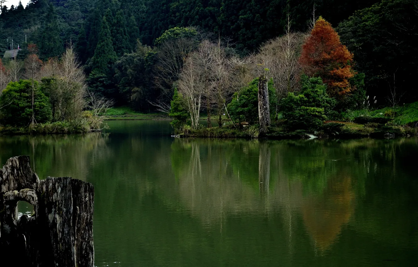 Photo wallpaper autumn, forest, trees, lake, slope