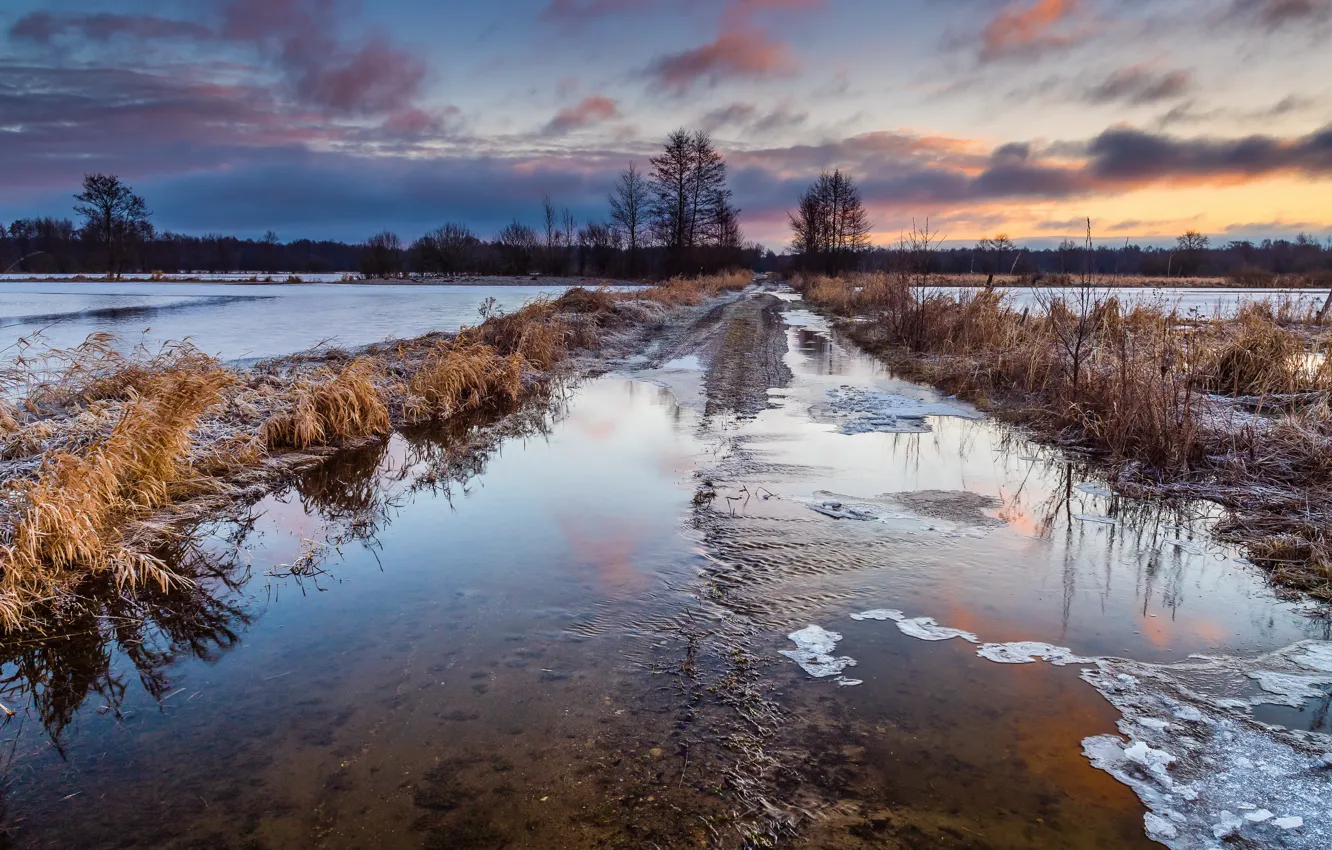 Photo wallpaper winter, road, field, nature