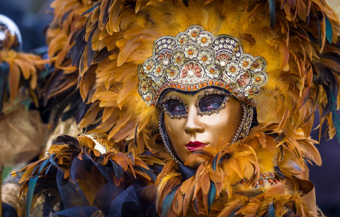 Photo wallpaper feathers, mask, Venice, masquerade
