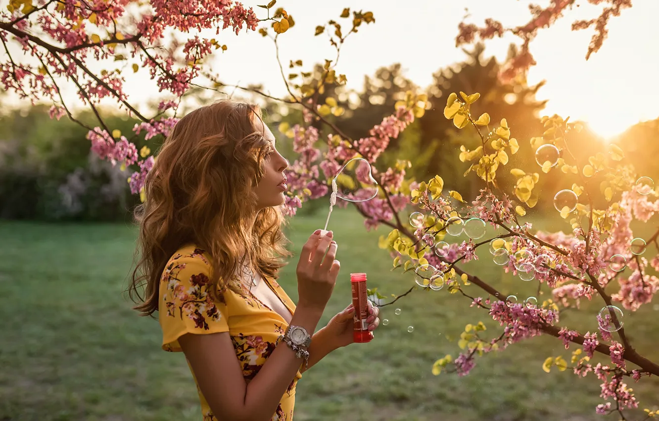 Photo wallpaper light, bubbles, sun, A Diakov George