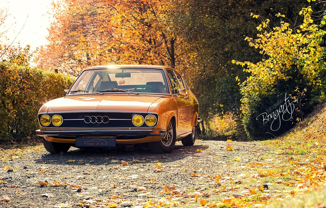 Photo wallpaper autumn, Audi, Audi, coupe, 100, Coupe S