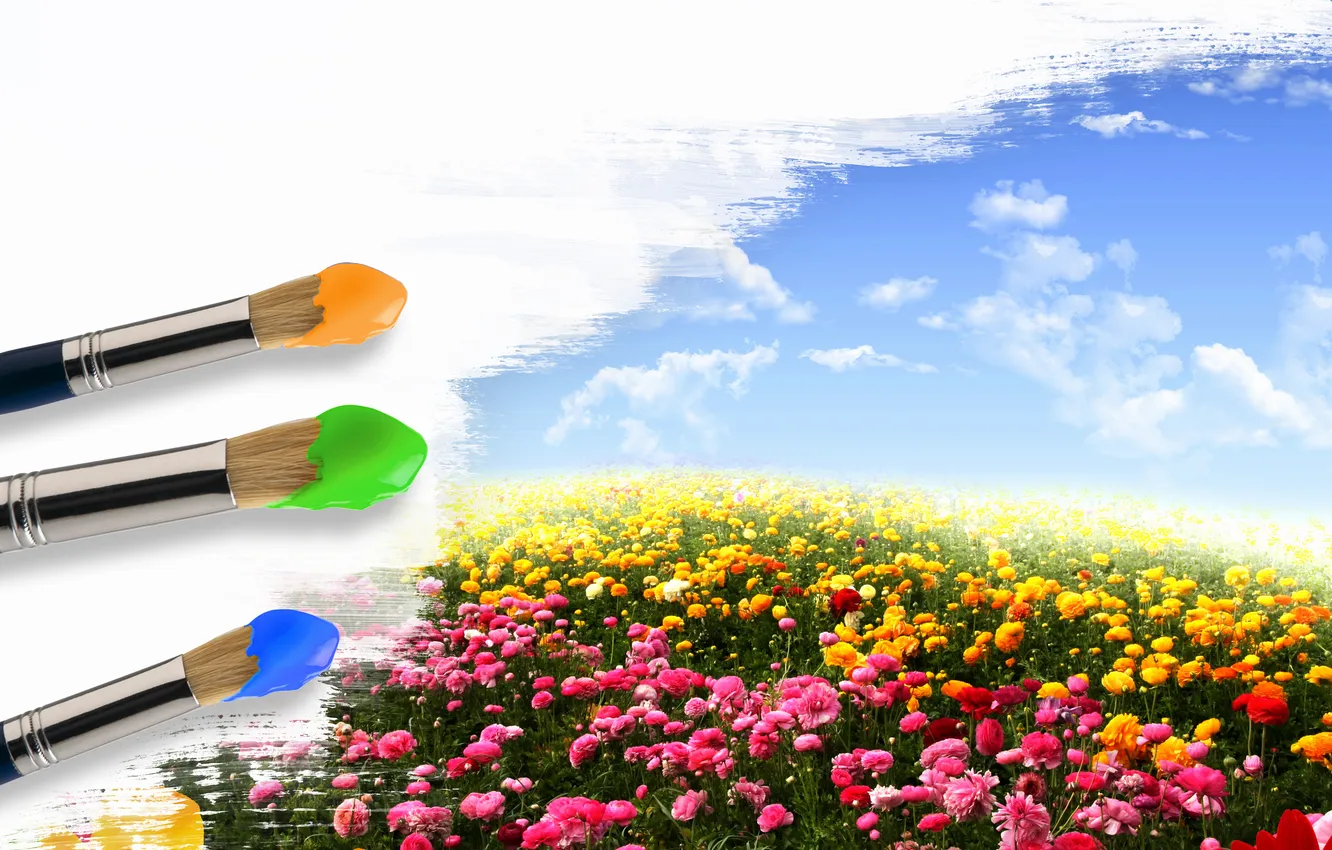 Photo wallpaper field, the sky, clouds, flowers, paint, brush