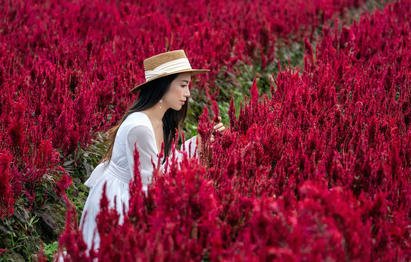 Photo wallpaper field, girl, flowers, red, hat, dress, profile, walk