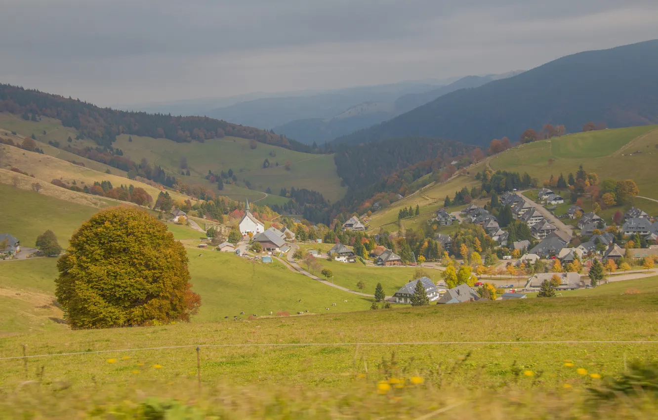Photo wallpaper autumn, forest, Alps, house