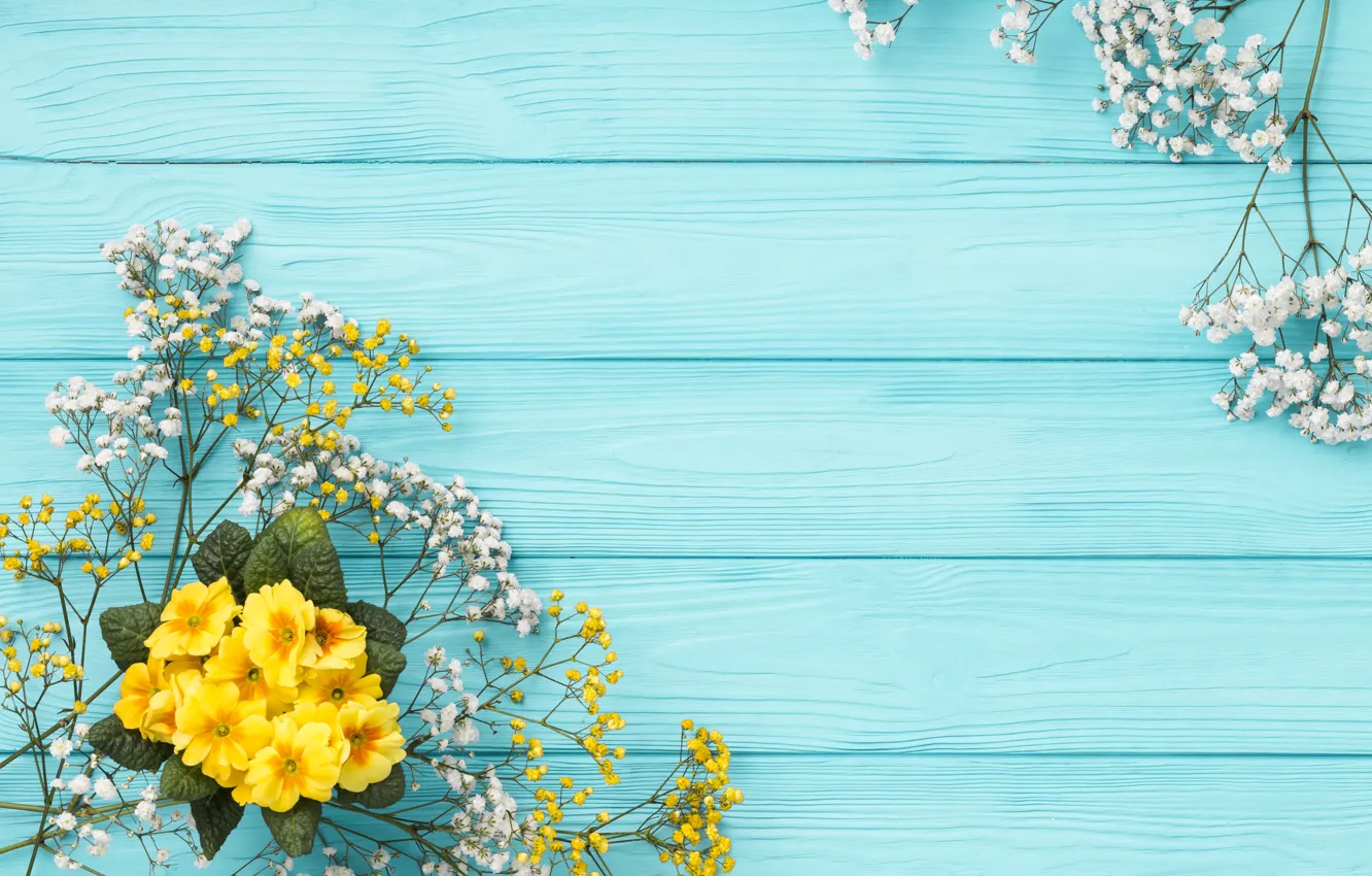 Photo wallpaper flowers, spring, flowering, plumeria