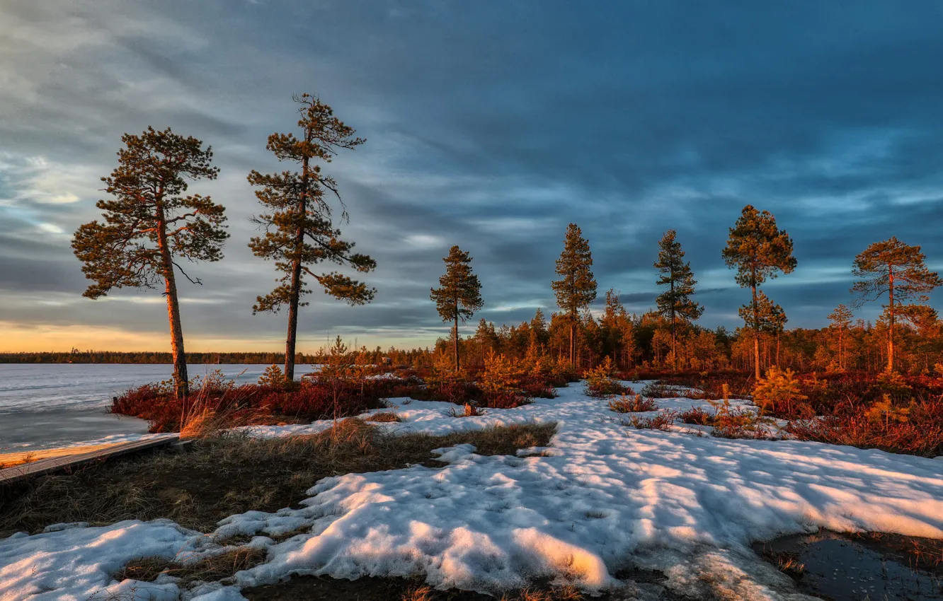 Photo wallpaper forest, snow, trees, landscape, sunset, clouds, nature, river