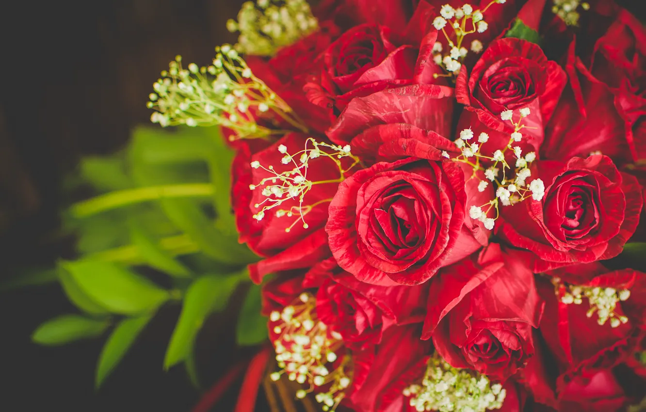 Photo wallpaper flowers, background, roses, bouquet