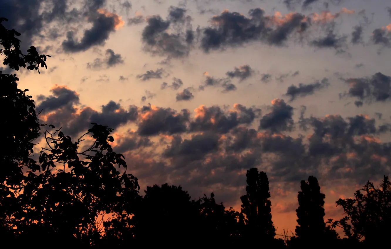 Photo wallpaper dark, sky, cloud