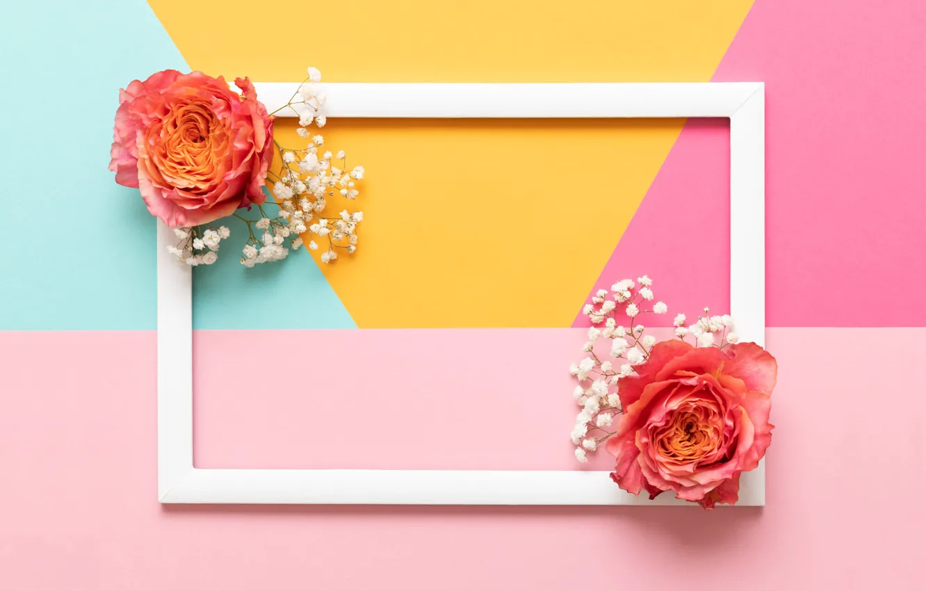 Photo wallpaper line, flowers, yellow, background, pink, holiday, blue, strip