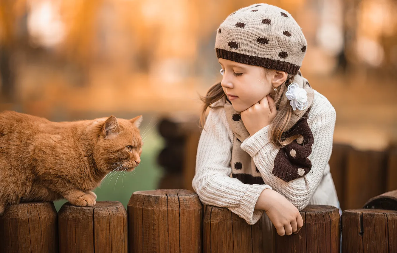 Photo wallpaper girl, red cat, Vladimir Vasiliev
