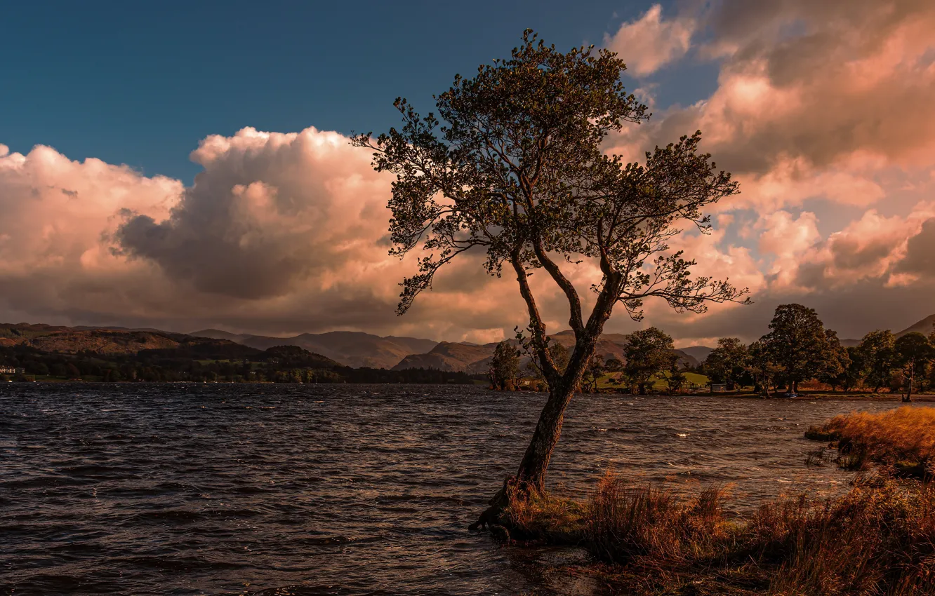 Photo wallpaper the sky, clouds, trees, shore, pond, photoart