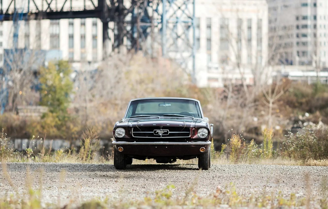 Photo wallpaper Concept, Mustang, Ford, 1964