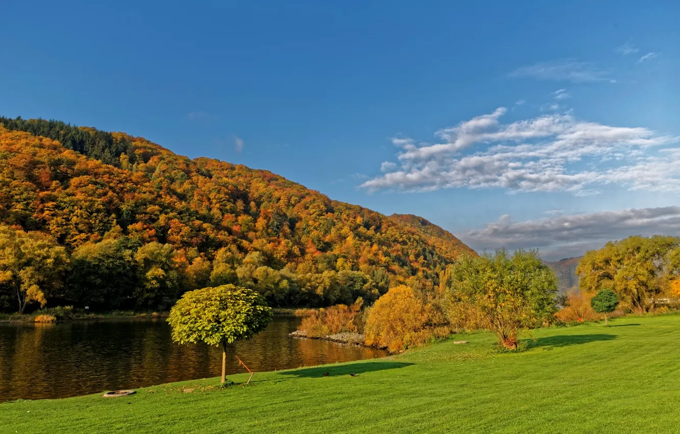 Photo wallpaper autumn, the sky, grass, the sun, clouds, trees, river, shore