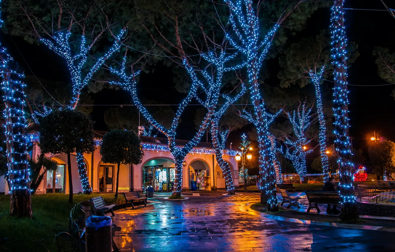 Photo wallpaper trees, night, lights, Park, new year, Christmas, lights, Italy