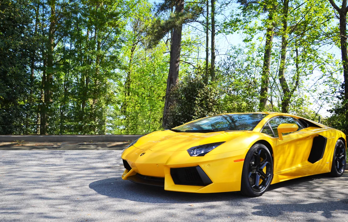 Photo wallpaper Lamborghini, Yellow, Aventador