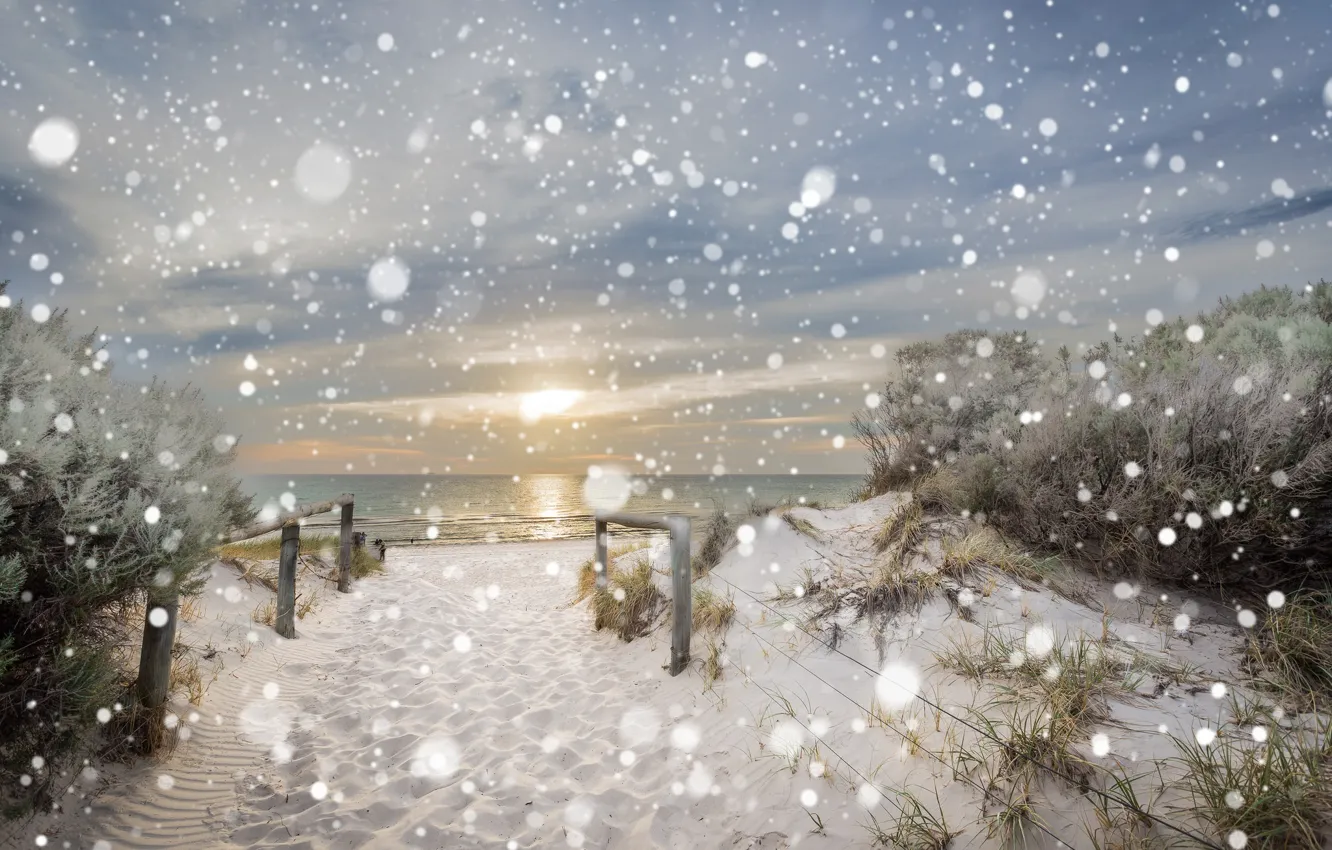 Photo wallpaper winter, sea, beach, snow, nature, dunes