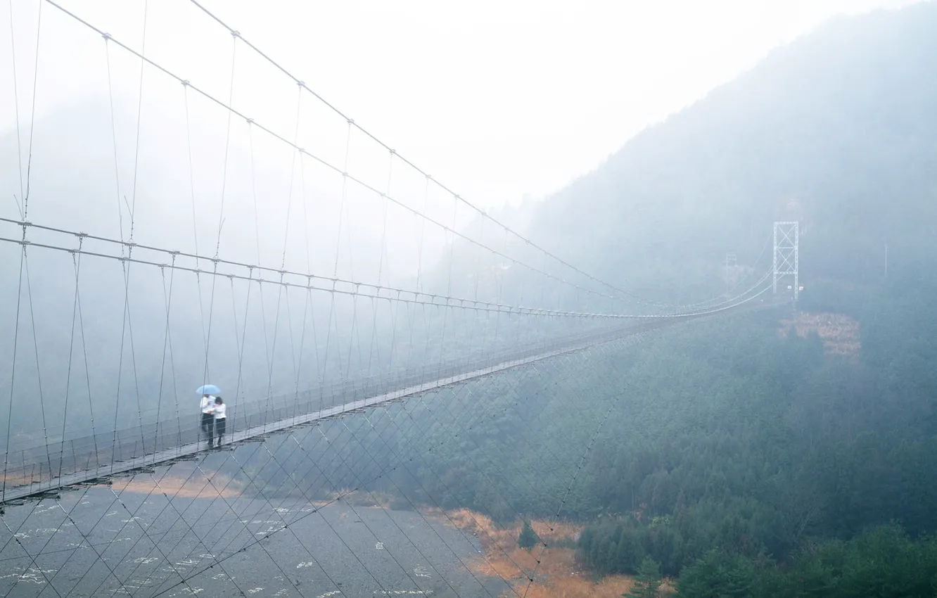 Photo wallpaper bridge, shore, pendant