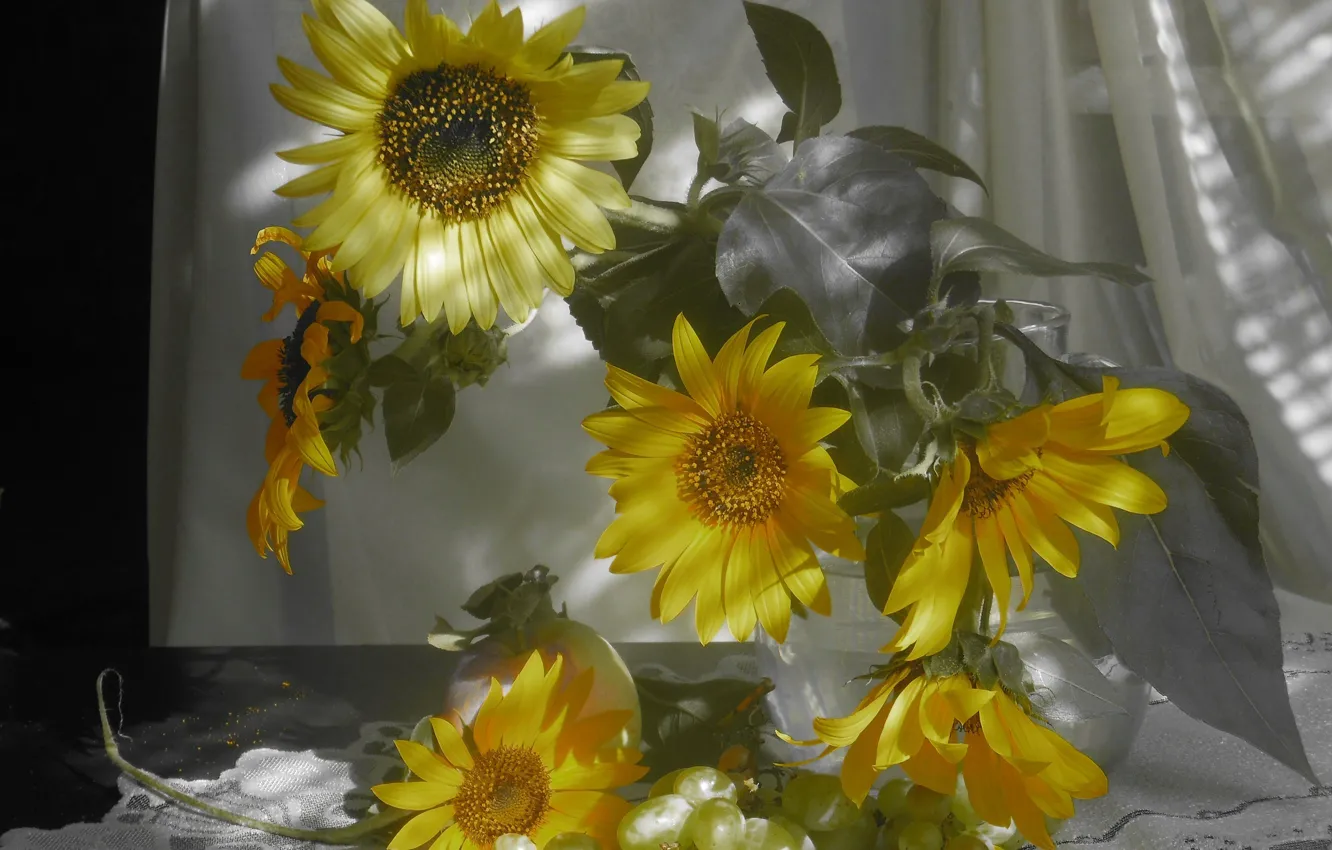 Photo wallpaper sunflowers, Apple, bouquet, grapes, still life