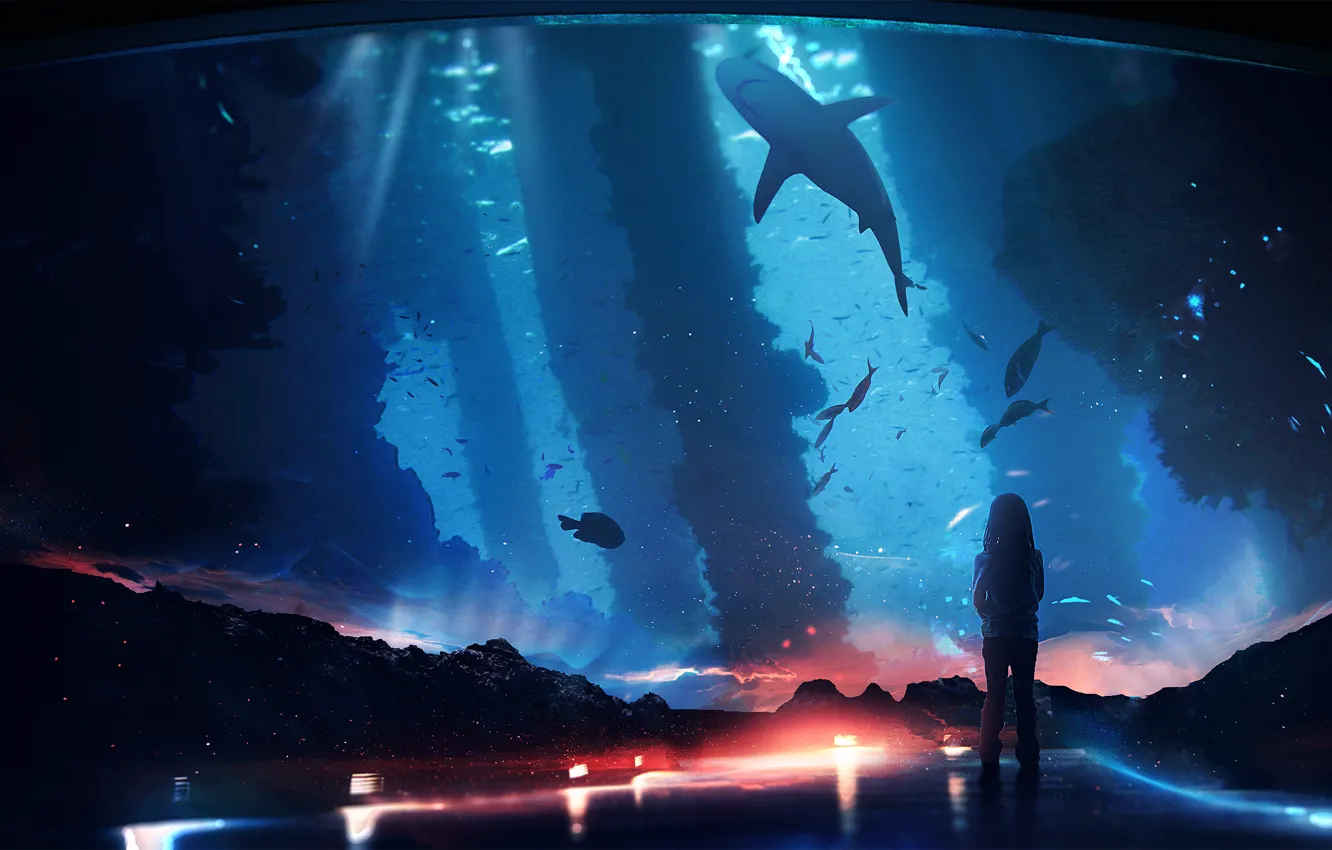 Photo wallpaper fantasy, fish, shark, girl, aquarium