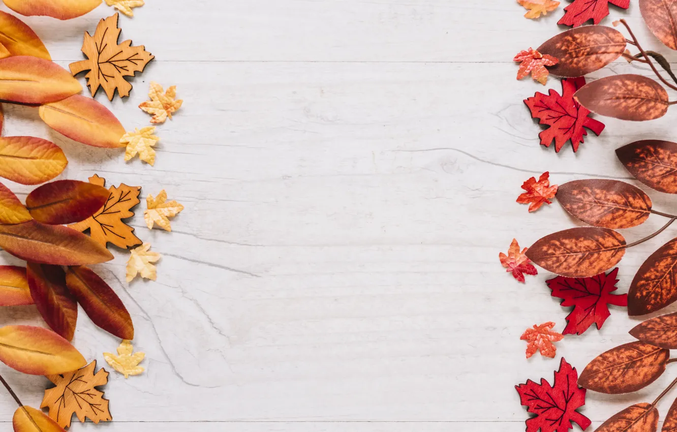 Photo wallpaper autumn, leaves, trees, background, colorful, wood, background, autumn