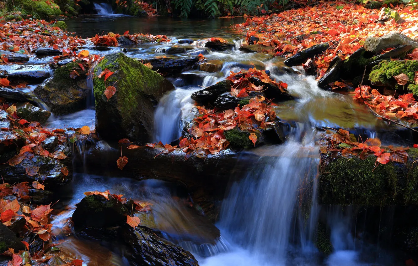 Photo wallpaper autumn, stones, foliage, waterfall, autumn leaves