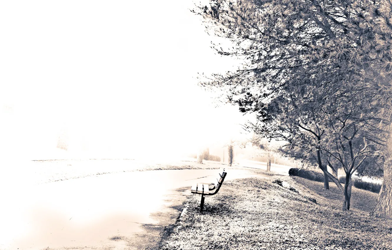 Photo wallpaper the city, Park, street, bench