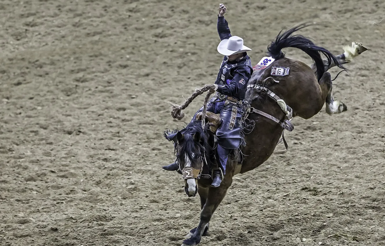 Photo wallpaper sports, cowboy, Rodeo