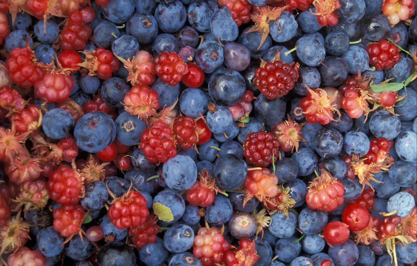 Photo wallpaper berries, food, berries