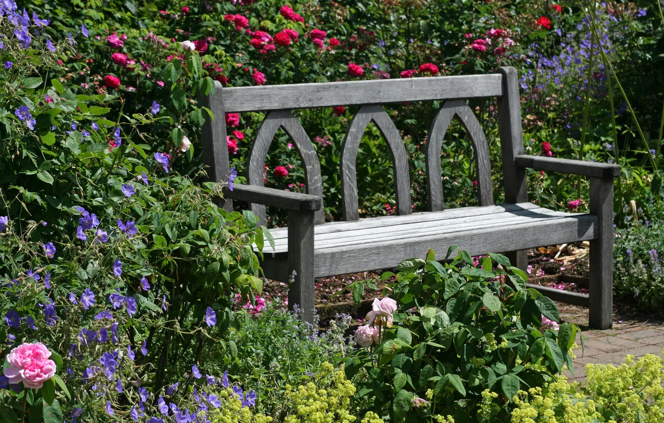 Photo wallpaper flowers, bench, England, roses, garden, Devon, Sunny, the bushes