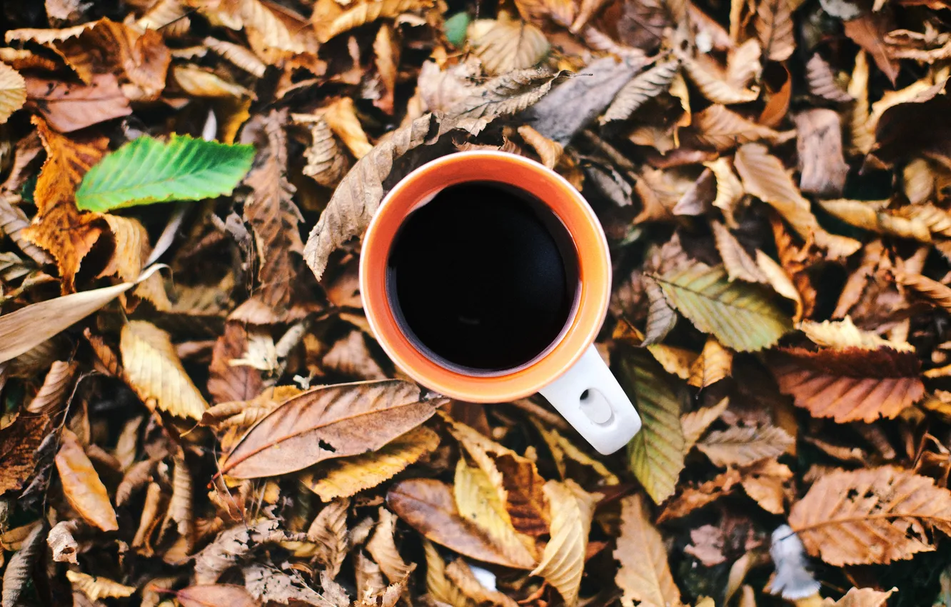 Photo wallpaper autumn, leaves, mug, Cup, drink