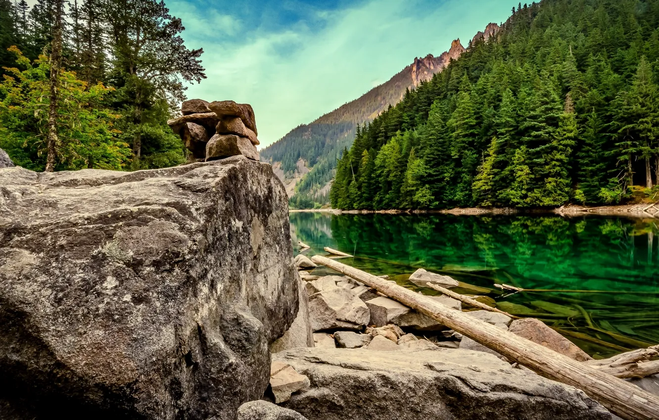 Photo wallpaper forest, lake, stones, Canada, Canada, British Columbia, logs, boulders