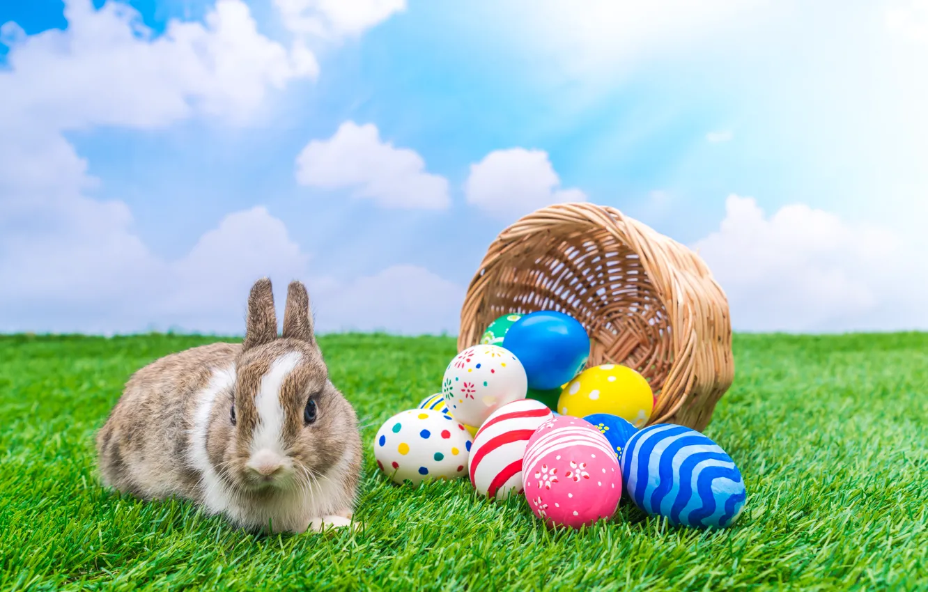 Photo wallpaper holiday, basket, rabbit, Easter, eggs dyed