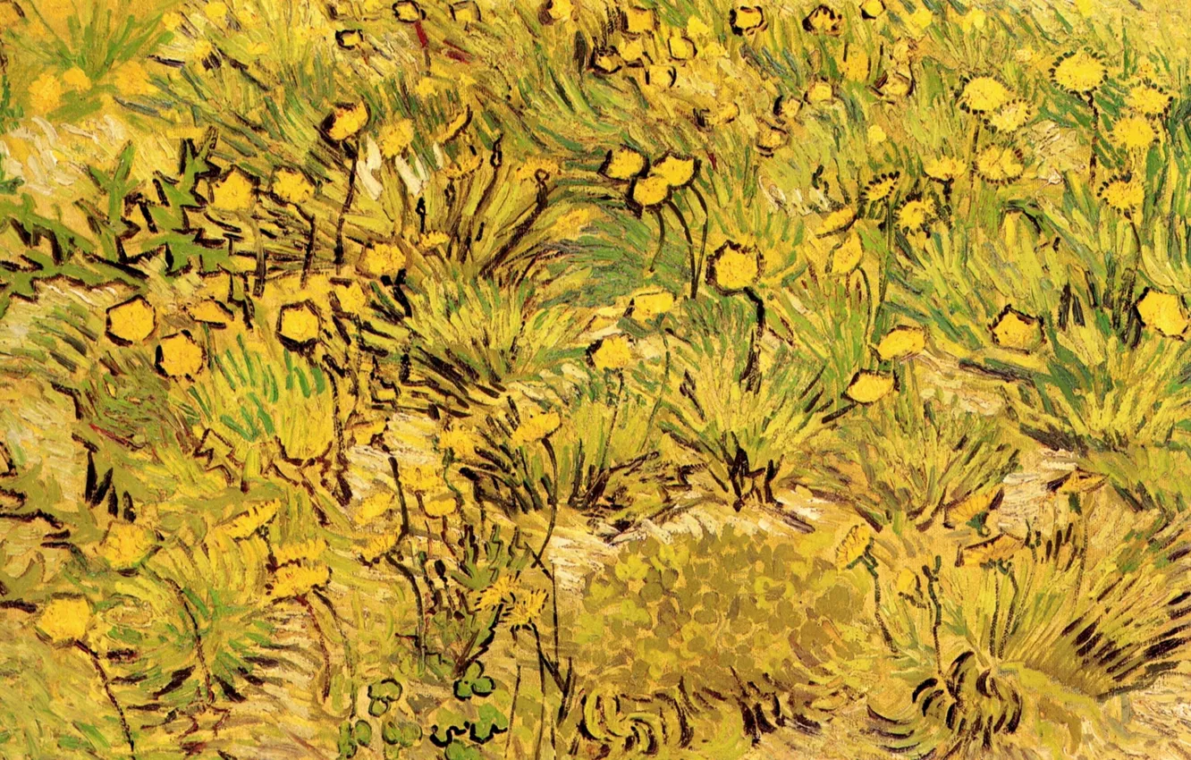 Photo wallpaper Vincent van Gogh, A Field of Yellow Flowers, Arles