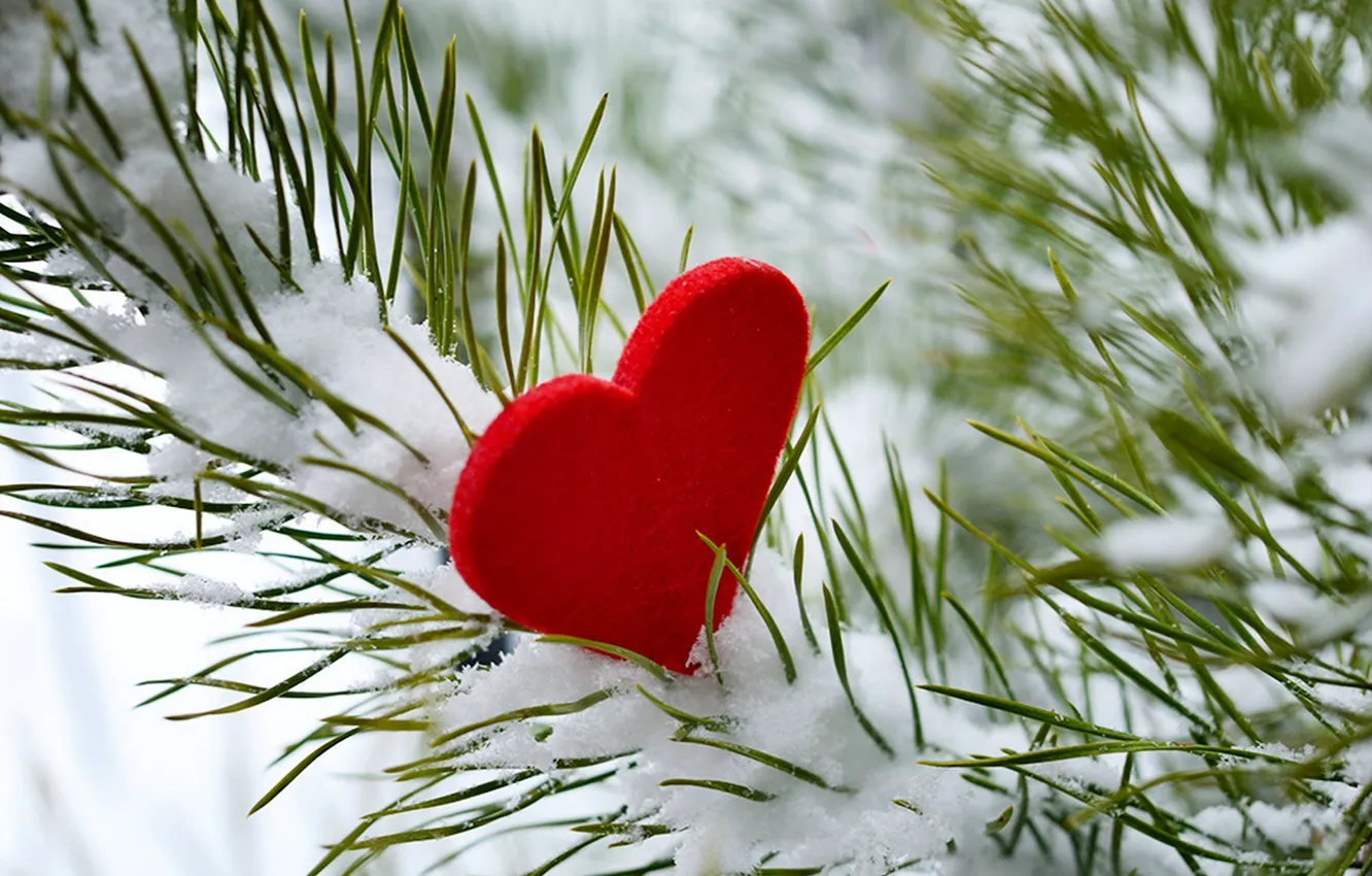Photo wallpaper winter, snow, love, tree, heart, love, i love you, heart