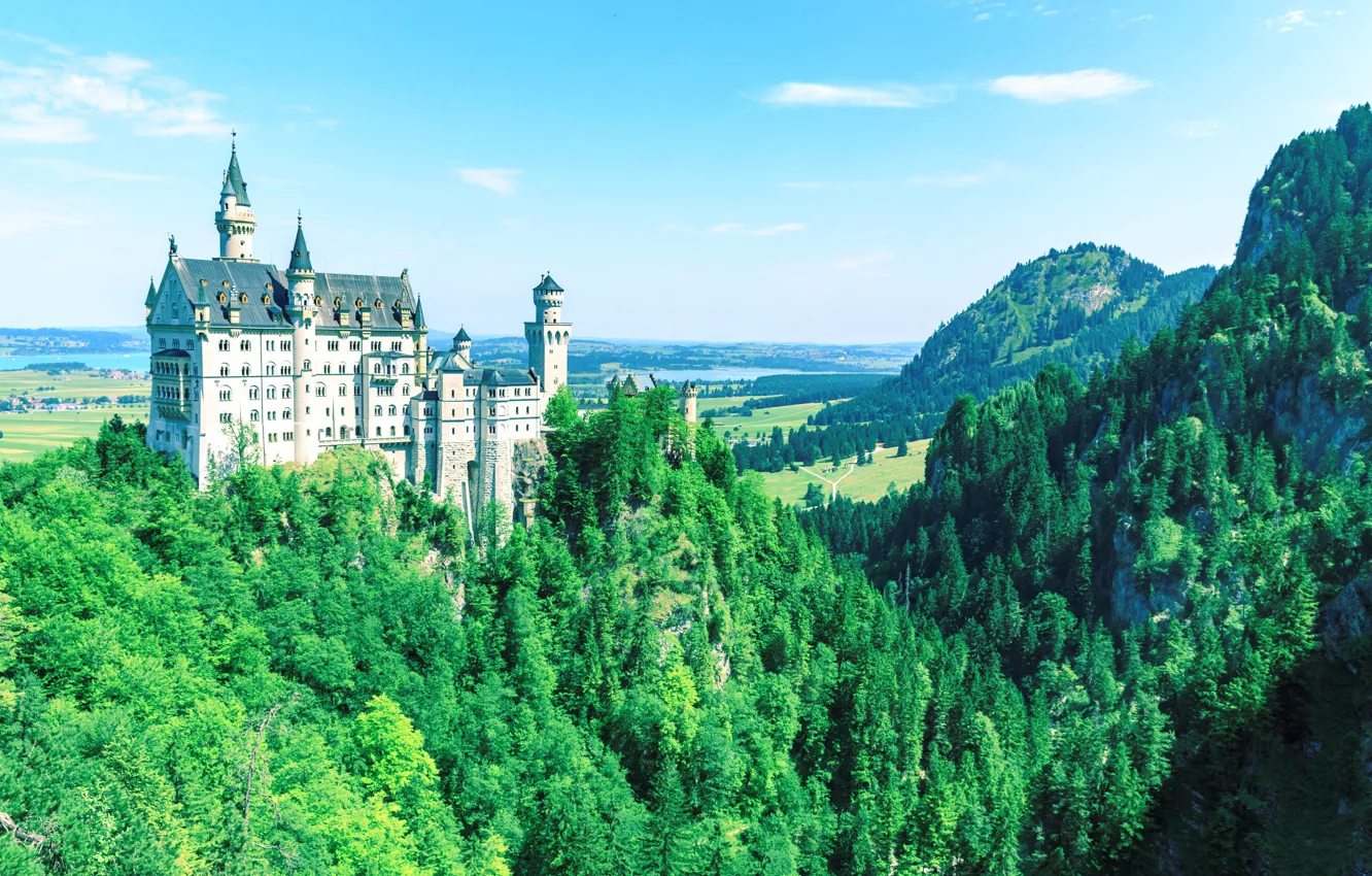 Photo wallpaper forest, castle, slope