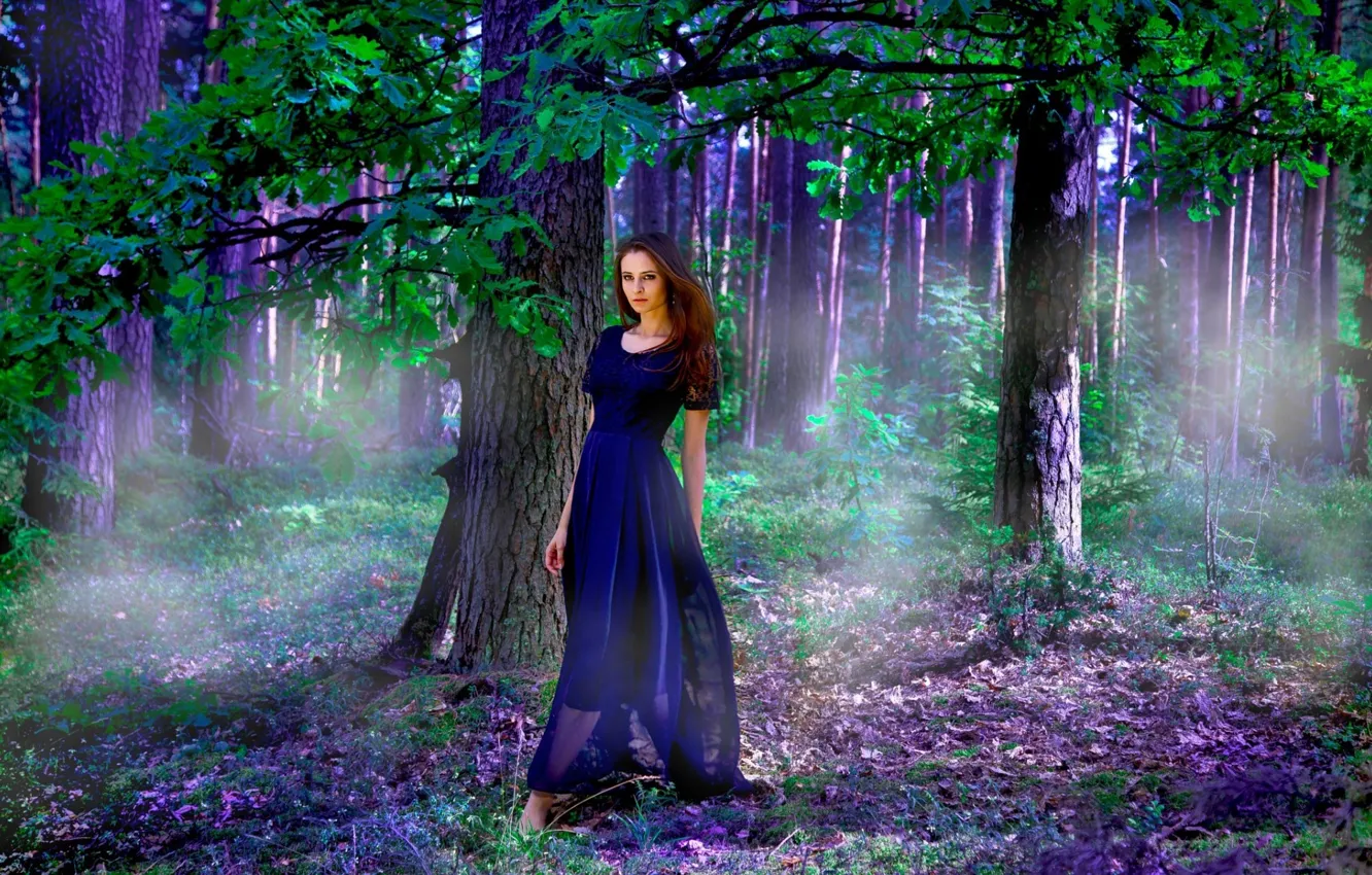 Photo wallpaper forest, girl, light, dress, Anastasia Kosachev