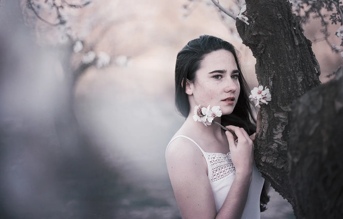 Photo wallpaper girl, trees, face, background, model, Sakura