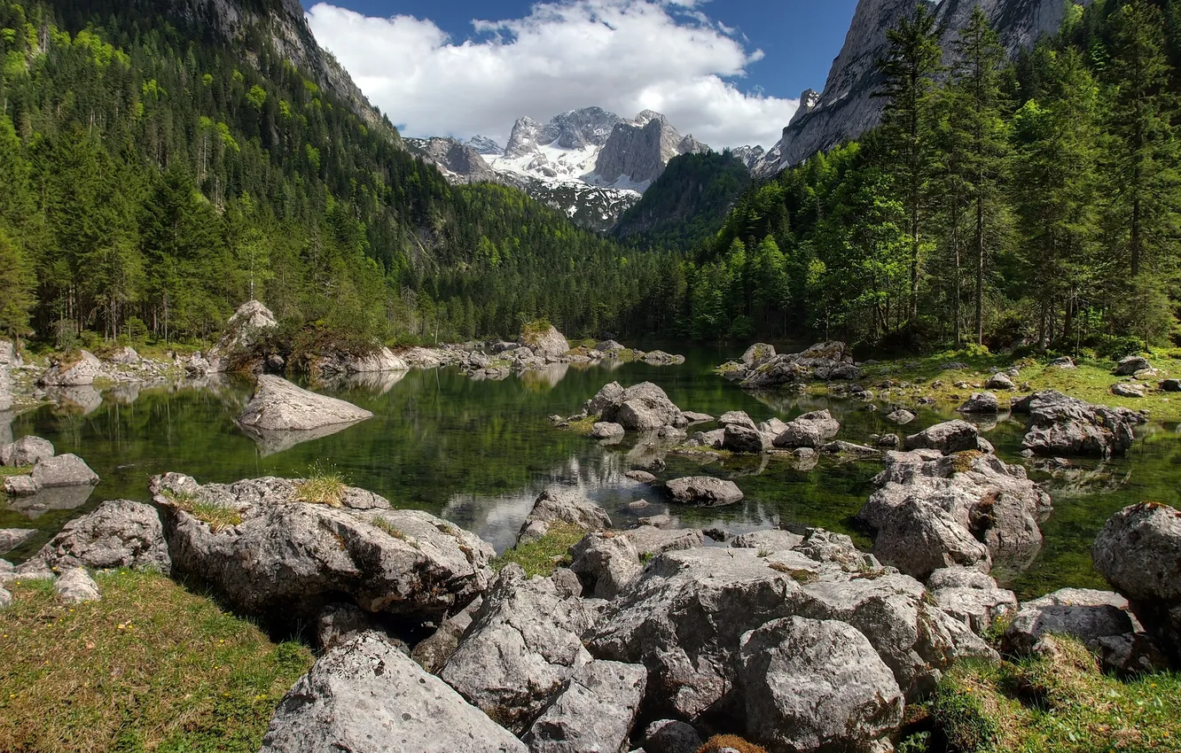 Photo wallpaper forest, the sky, mountains, lake, stones