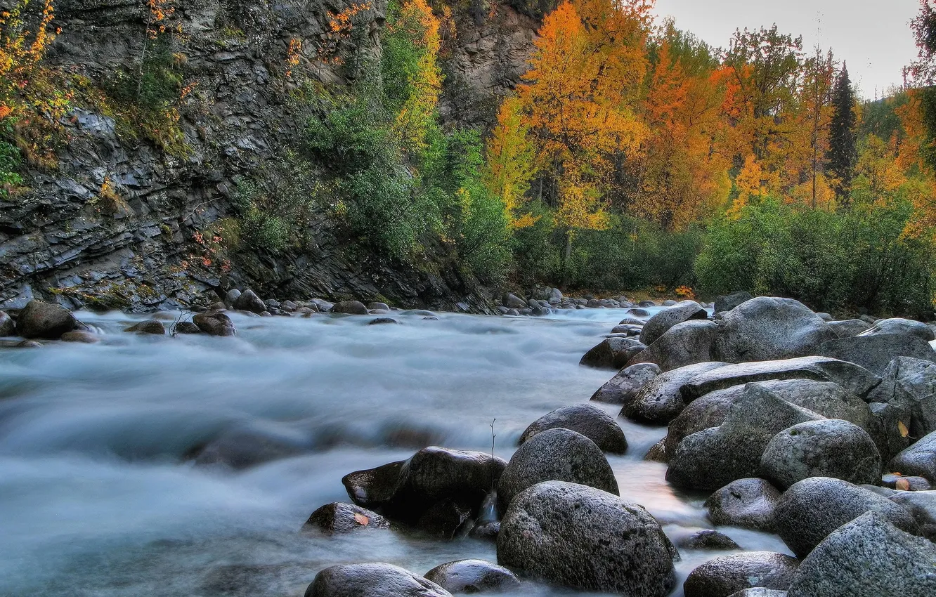 Photo wallpaper autumn, trees, river, stones, slope