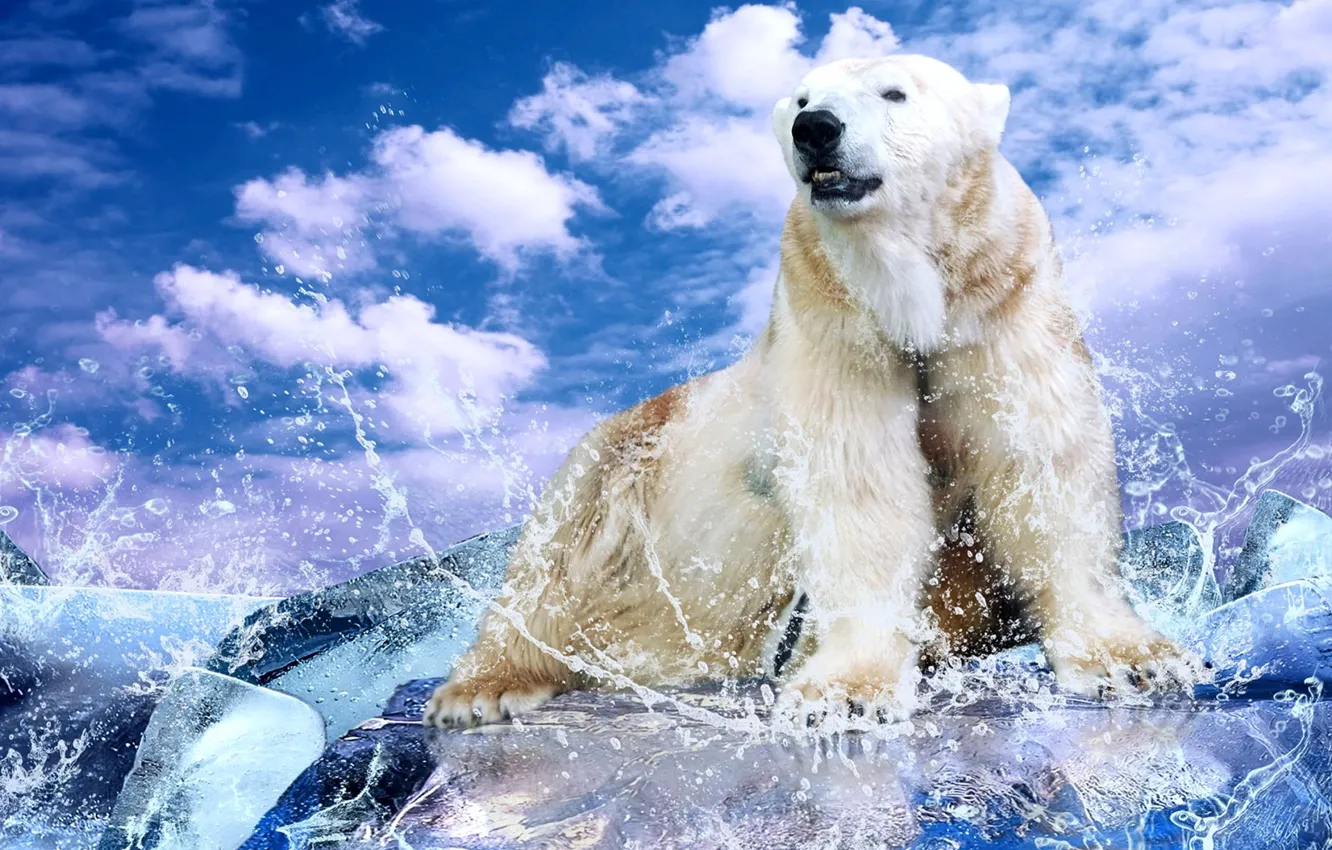 Photo wallpaper ice, white, the sky, water, clouds, drops, squirt, bear
