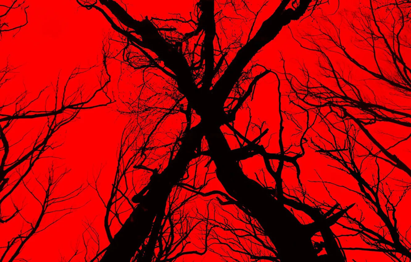 Photo wallpaper cinema, red, devil, tree, movie, evil, film, witch