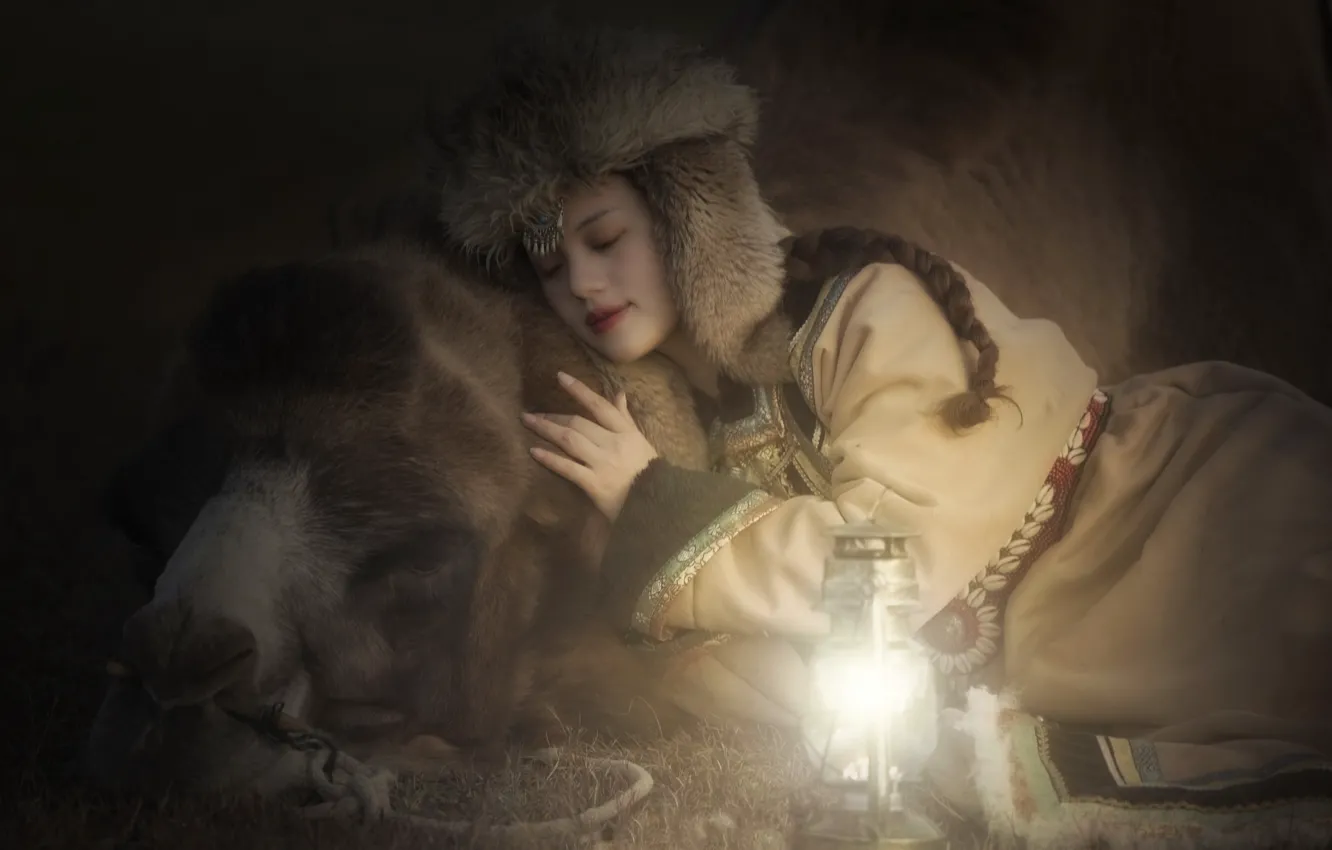 Photo wallpaper girl, lamp, camel