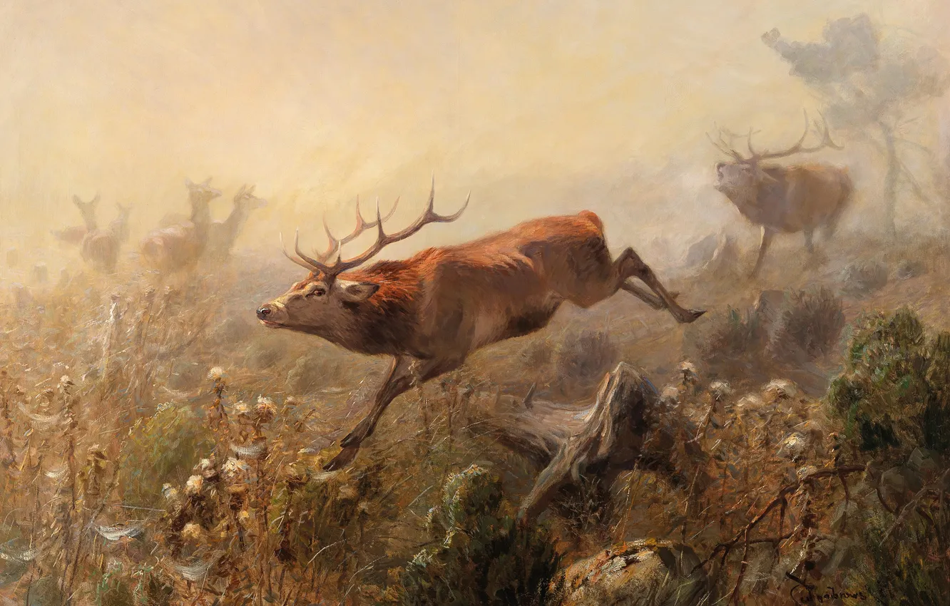 Wallpaper Picture, Deer, German animal painter, Carl Ritter von ...