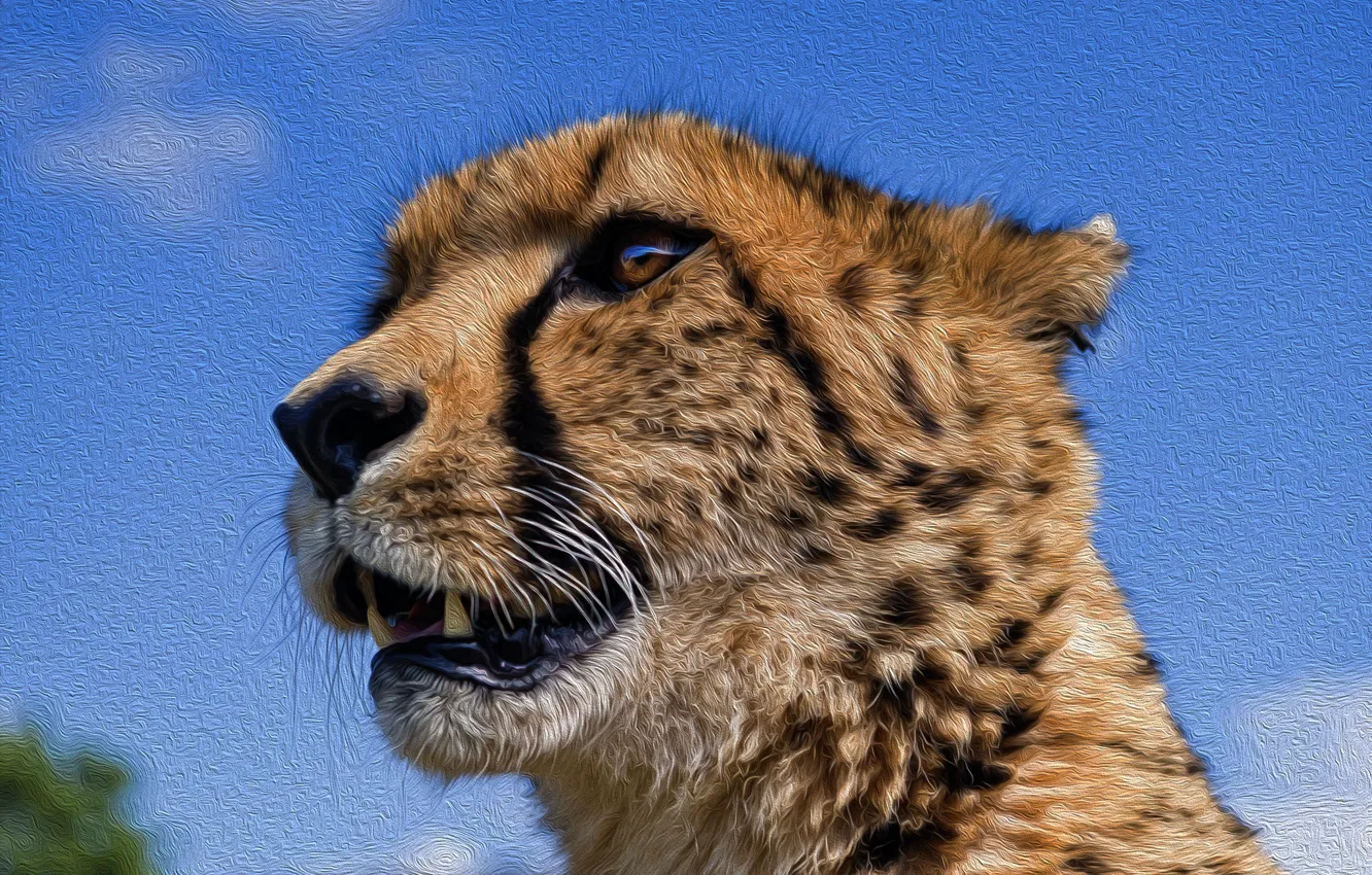 Photo wallpaper cat, wool, Cheetah