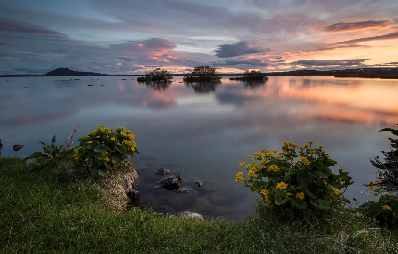 Photo wallpaper grass, landscape, sunset, shore, horizon