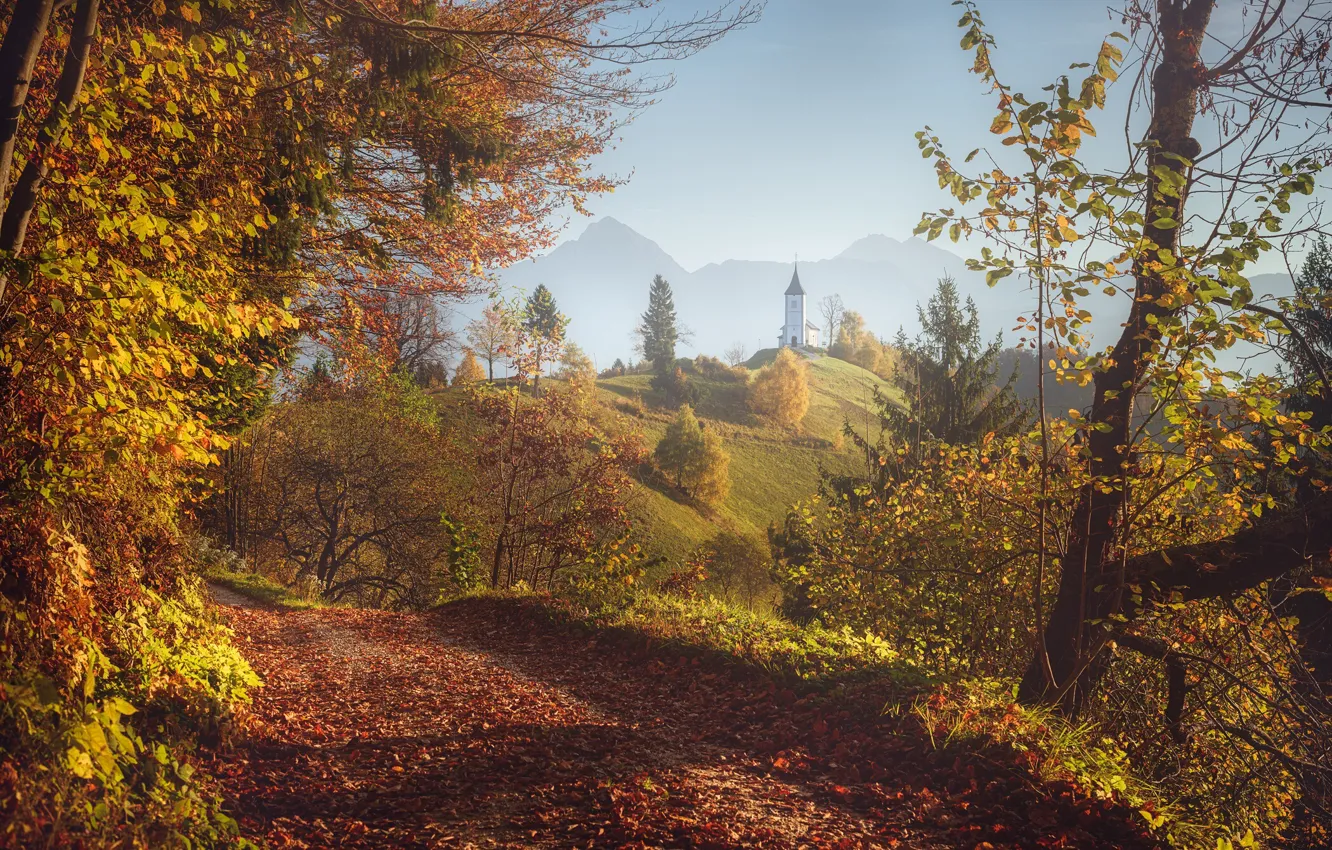 Photo wallpaper autumn, trees, landscape, mountains, nature, hills, Church, Slovenia